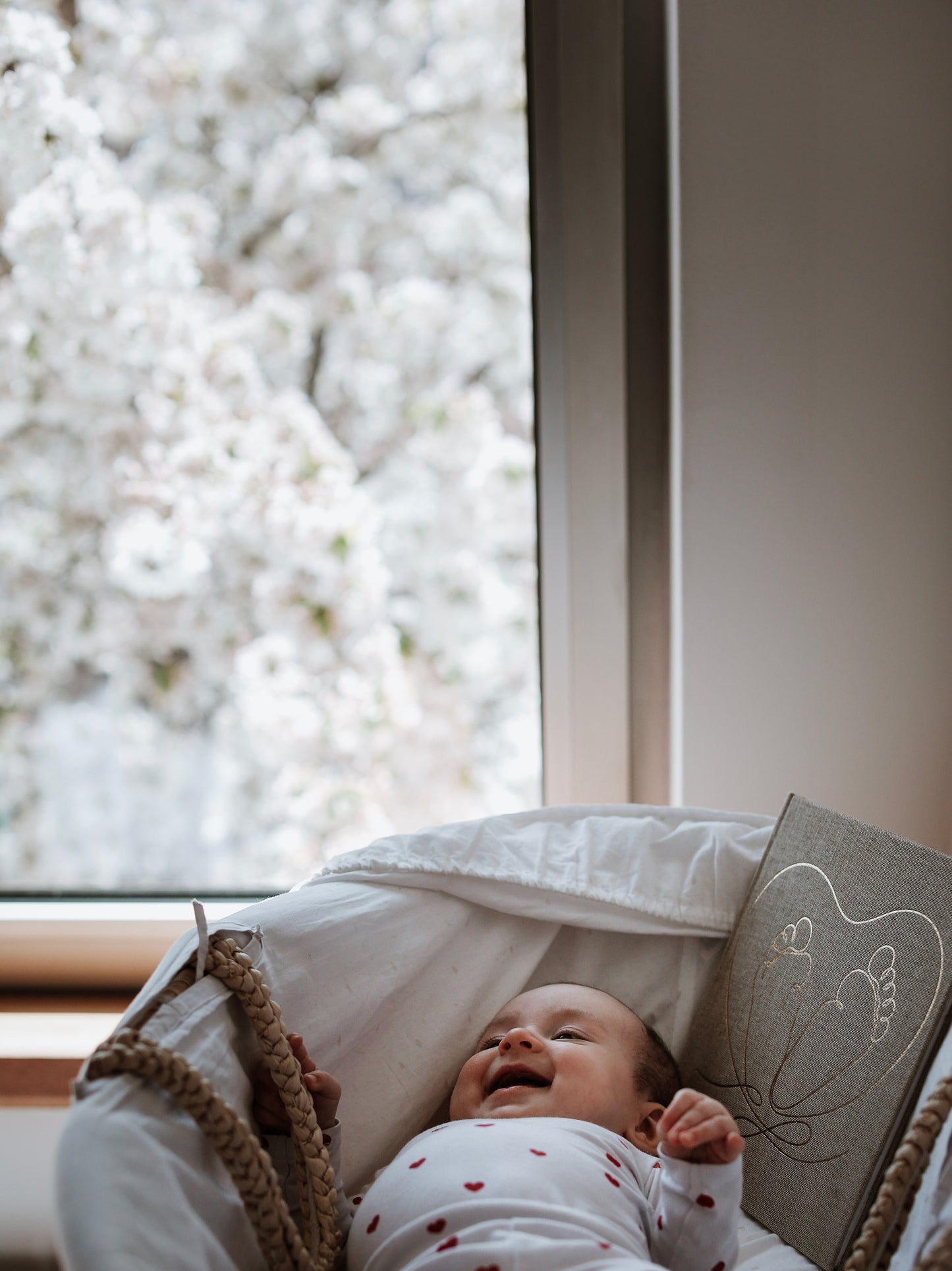 Radosnica za bebe, radosnica, poklon za babine, poklon za bebu, moja prva radosnica, radosnice za bebe, poklon za mamu, poklon za prvi rodjendan, bebina knjiga uspomena