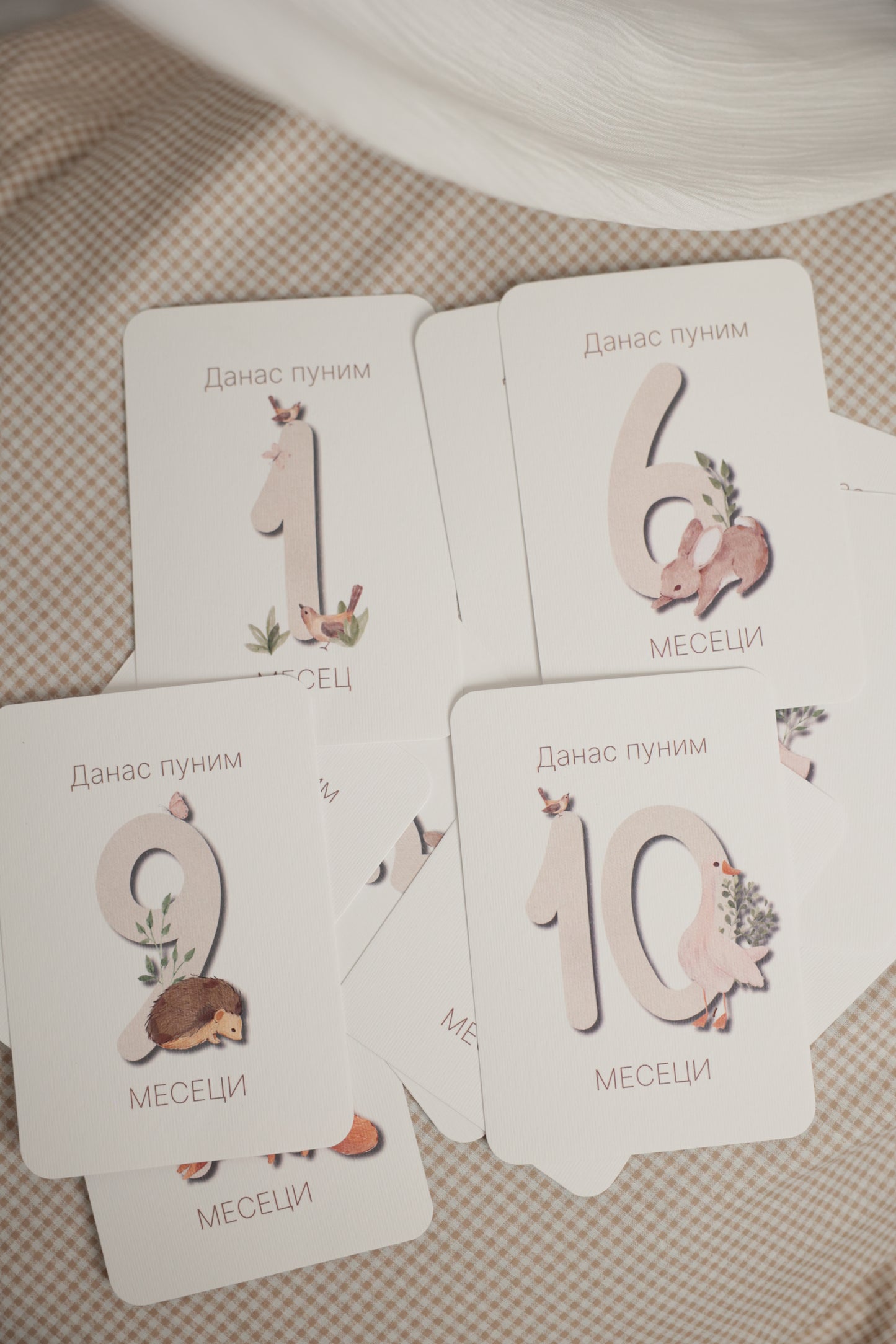 Radosnica + set kartica