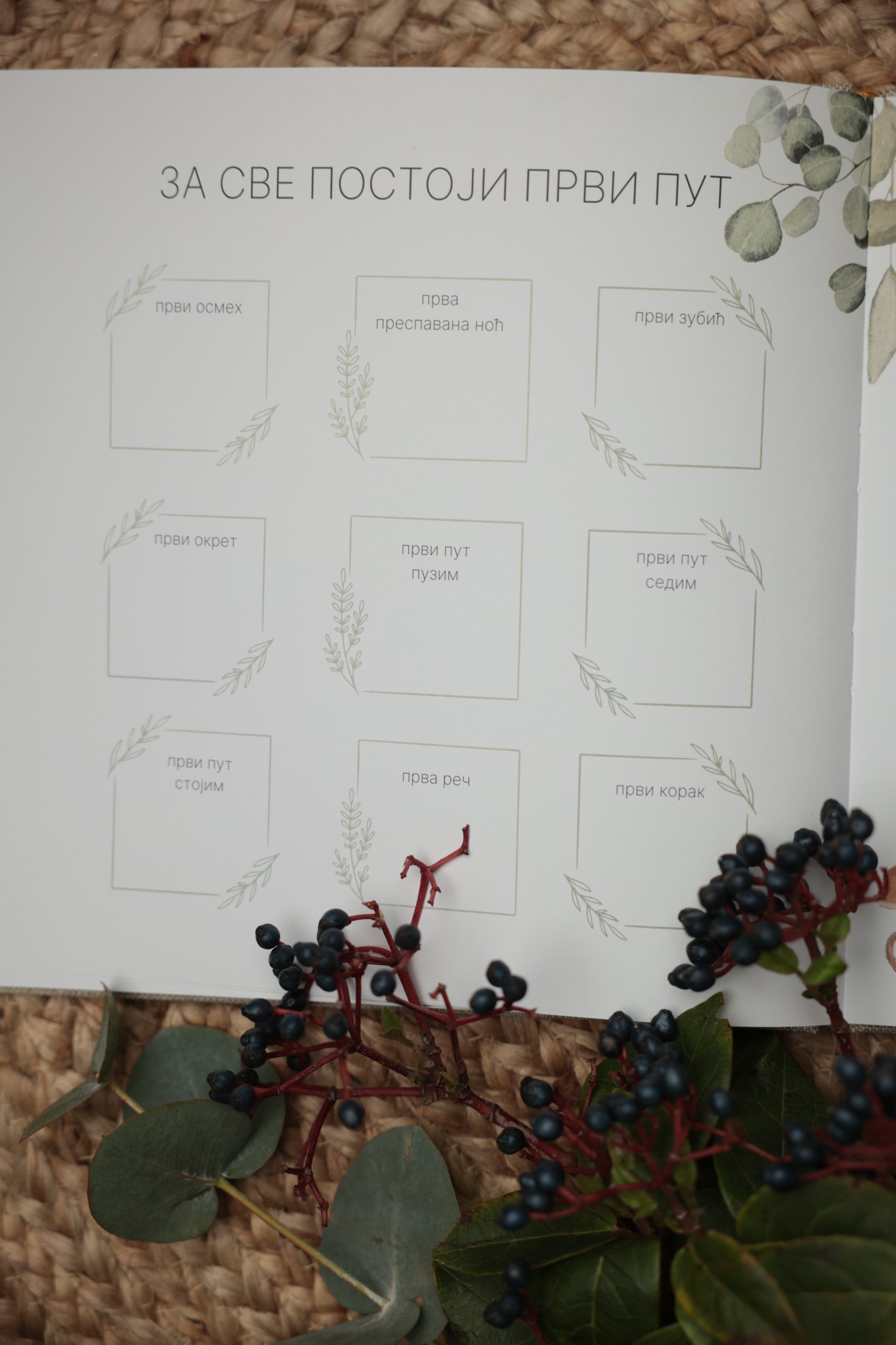 Radosnica za bebe, radosnice za bebe, radosnica, radosnice, od graska do lubenice, album za slike, deciji album za slike, deciji album za fotografije, poklon za mamu, poklon za babine, poklon za roditelje, poklon za buducu mamu, poklon za prvi rodjendan, poklon za bebu, pokloni za bebu