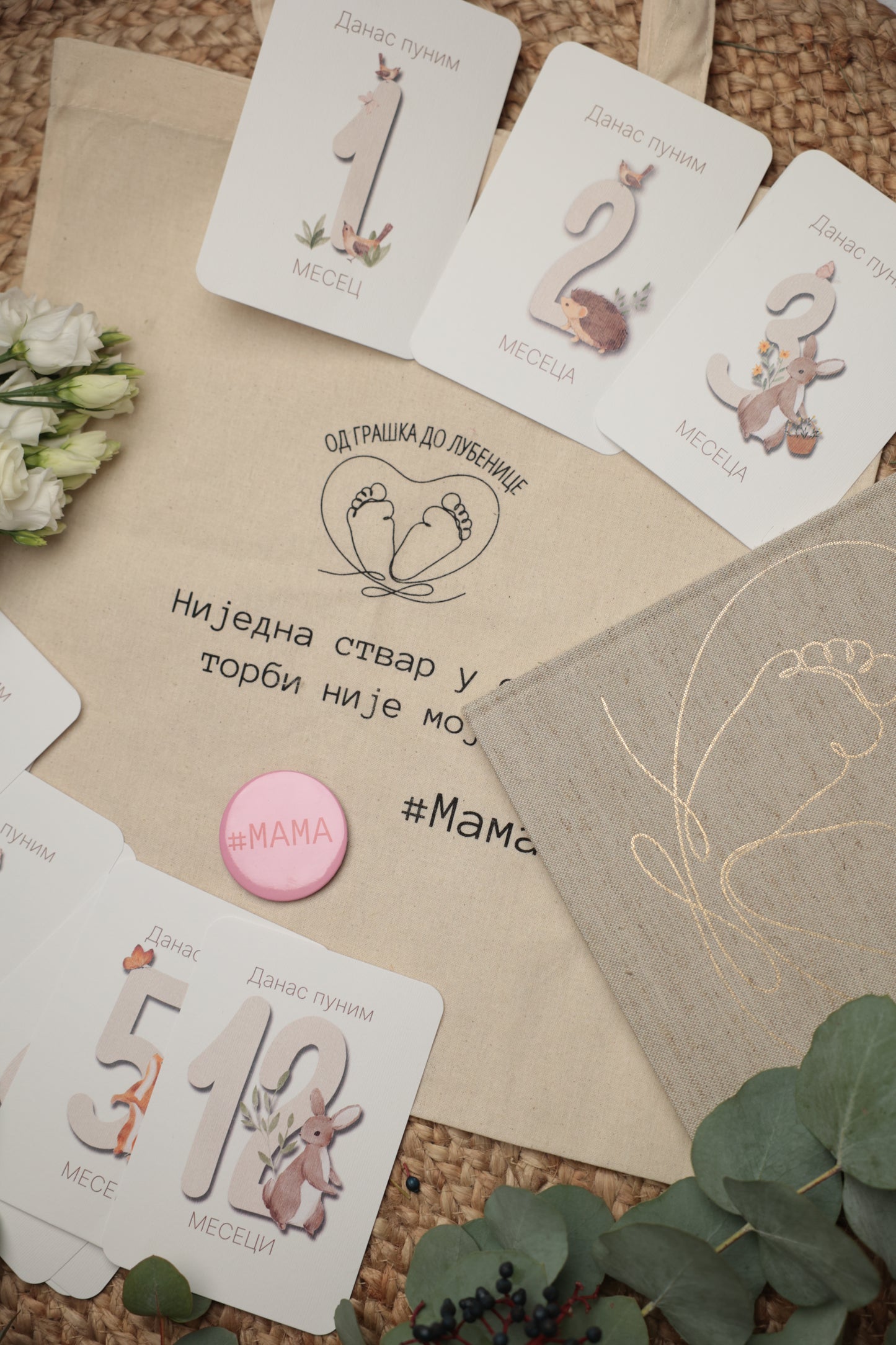 Radosnica + set kartica