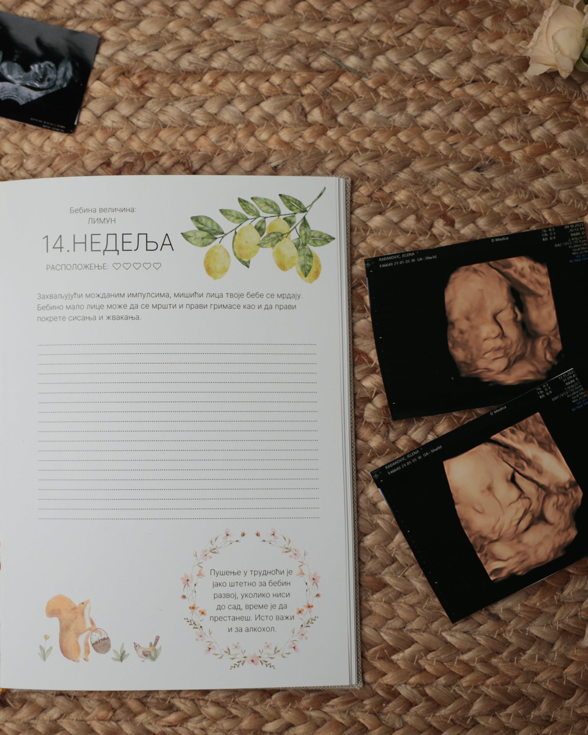 dnevnik za trudnice, poklon za trudnicu, trudnoća, praćenje trudnoće, zapisivanje trudnoće, bebini trenuci, trudnički dnevnik, uspomene iz trudnoće, spomenar trudnoce, planer trudnoce, planer za trudnice, sta pokloniti trudnici