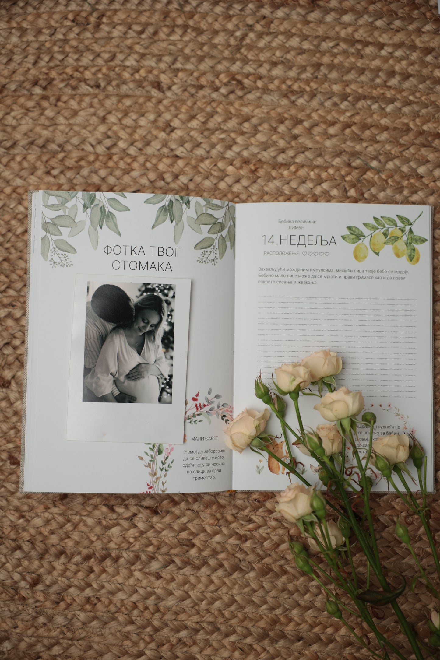 Dnevnik za trudnice i set kartica