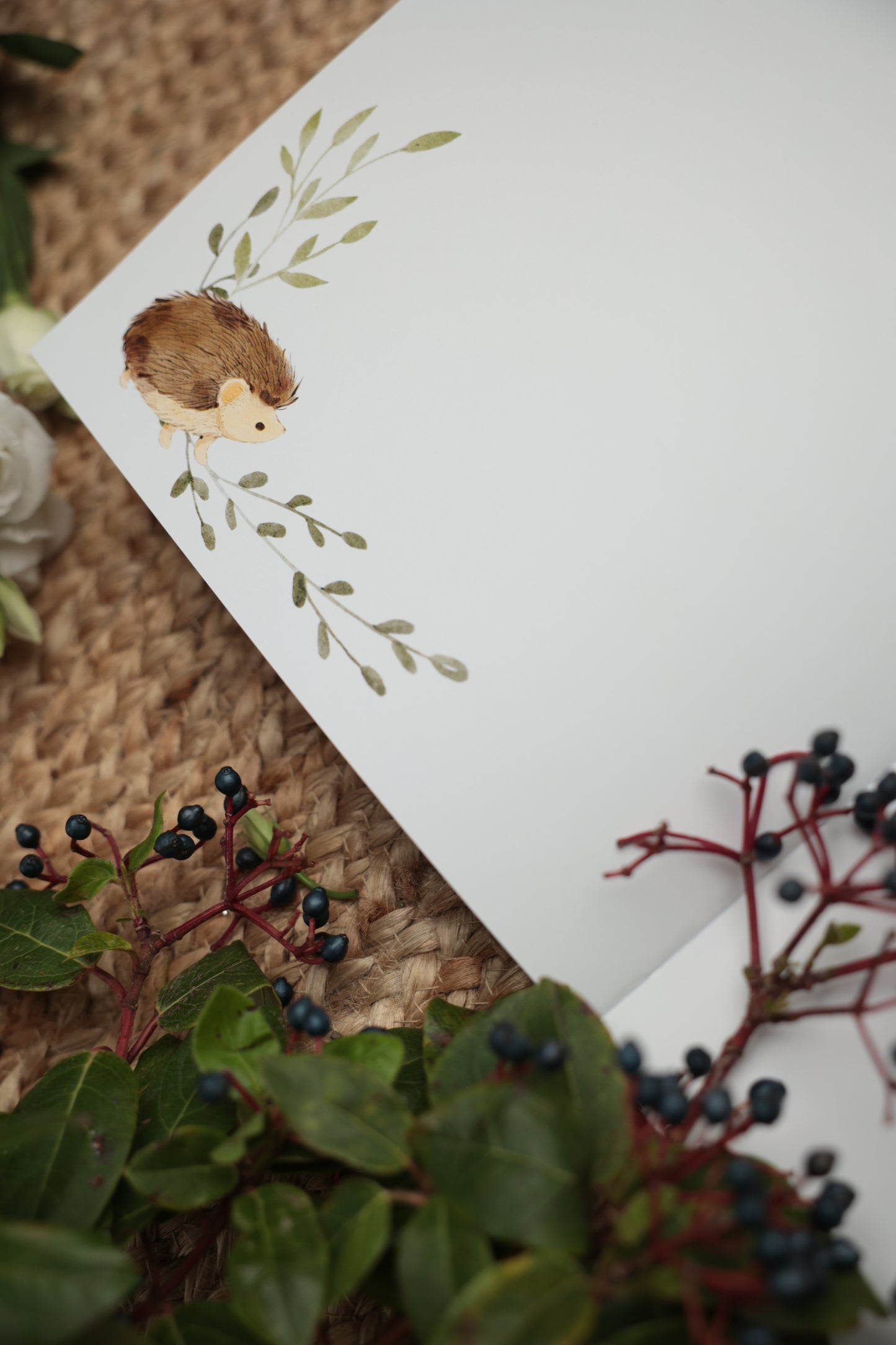 Komplet: Dnevnik za trudnice, Radosnica i Album za slike