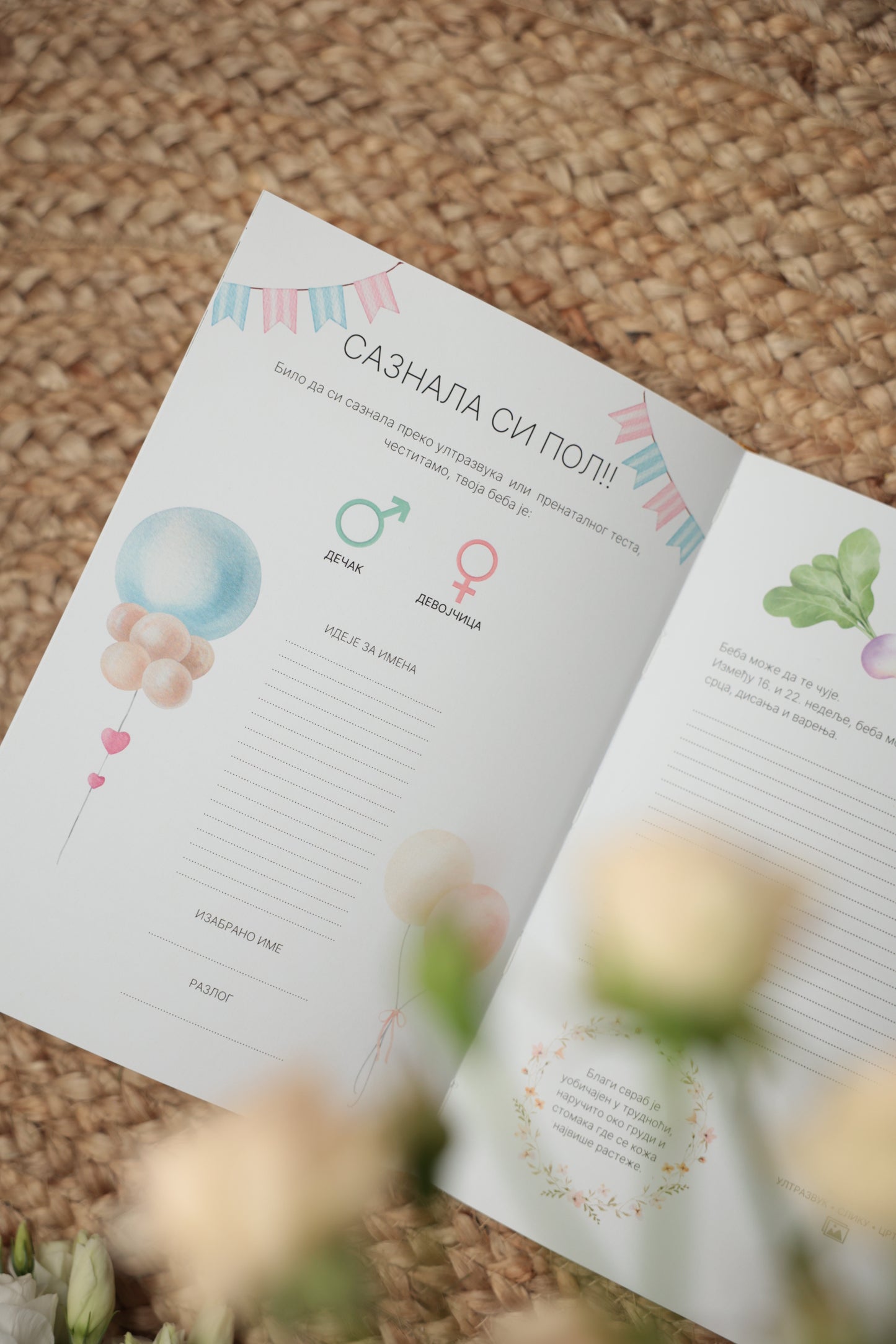 Komplet: Dnevnik za trudnice, Radosnica i Album za slike