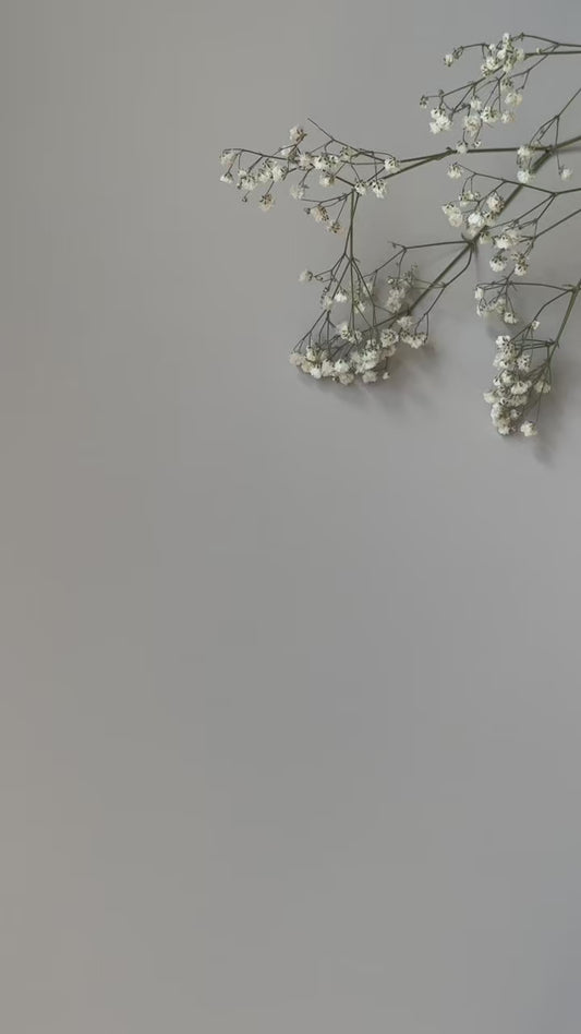 Dnevnik za trudnice i set kartica